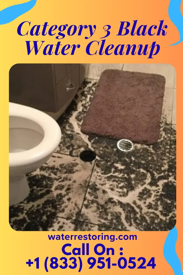 Category 3 Black Water Cleanup in Lebanon, NH