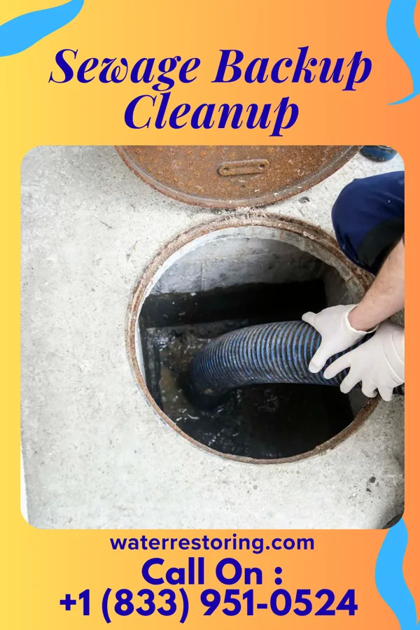 Sewage Backup Cleanup in Lebanon, NH