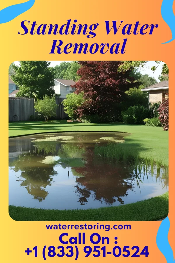Standing Water Removal in Lebanon, NH